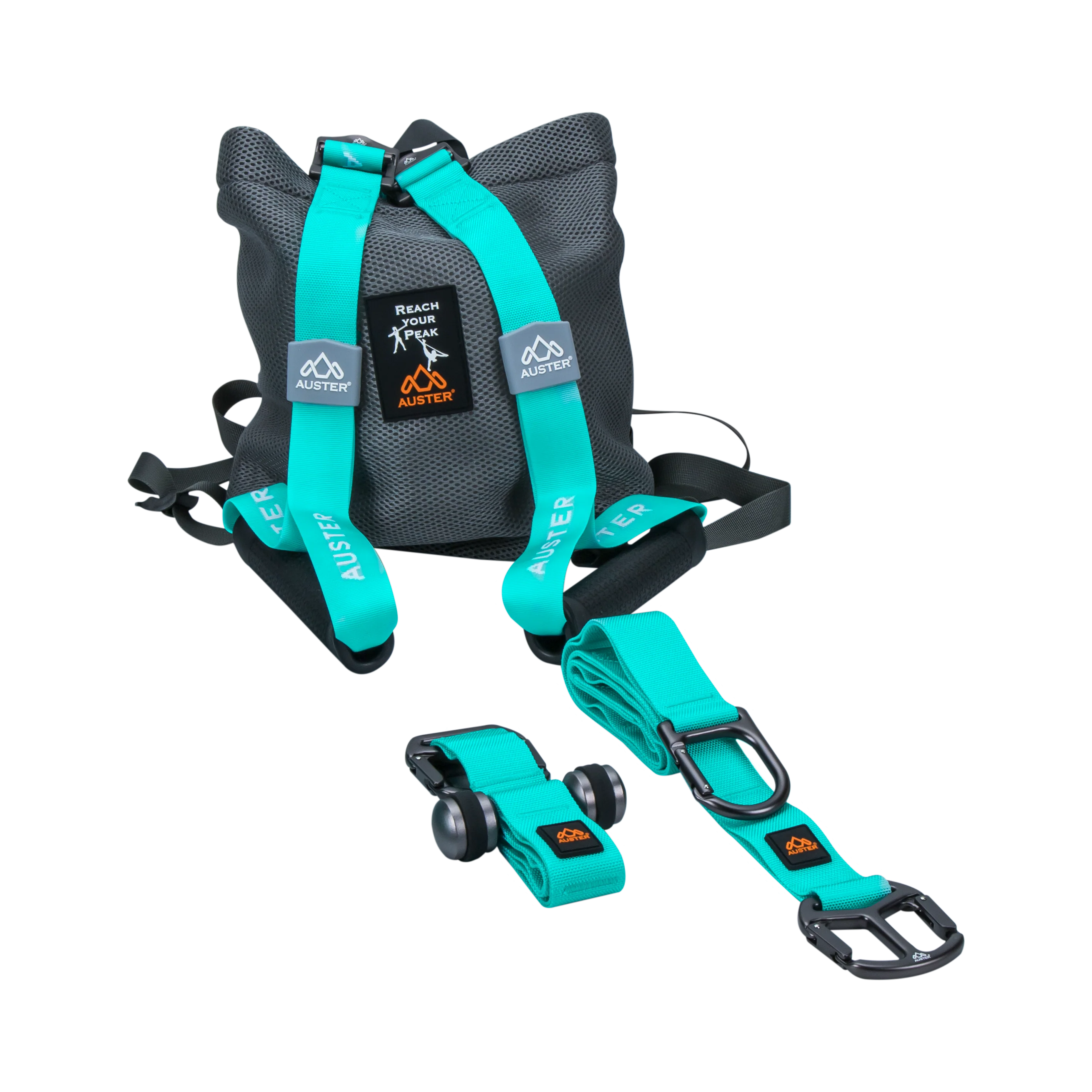 THE AUSTER EVERYDAY - Image 7