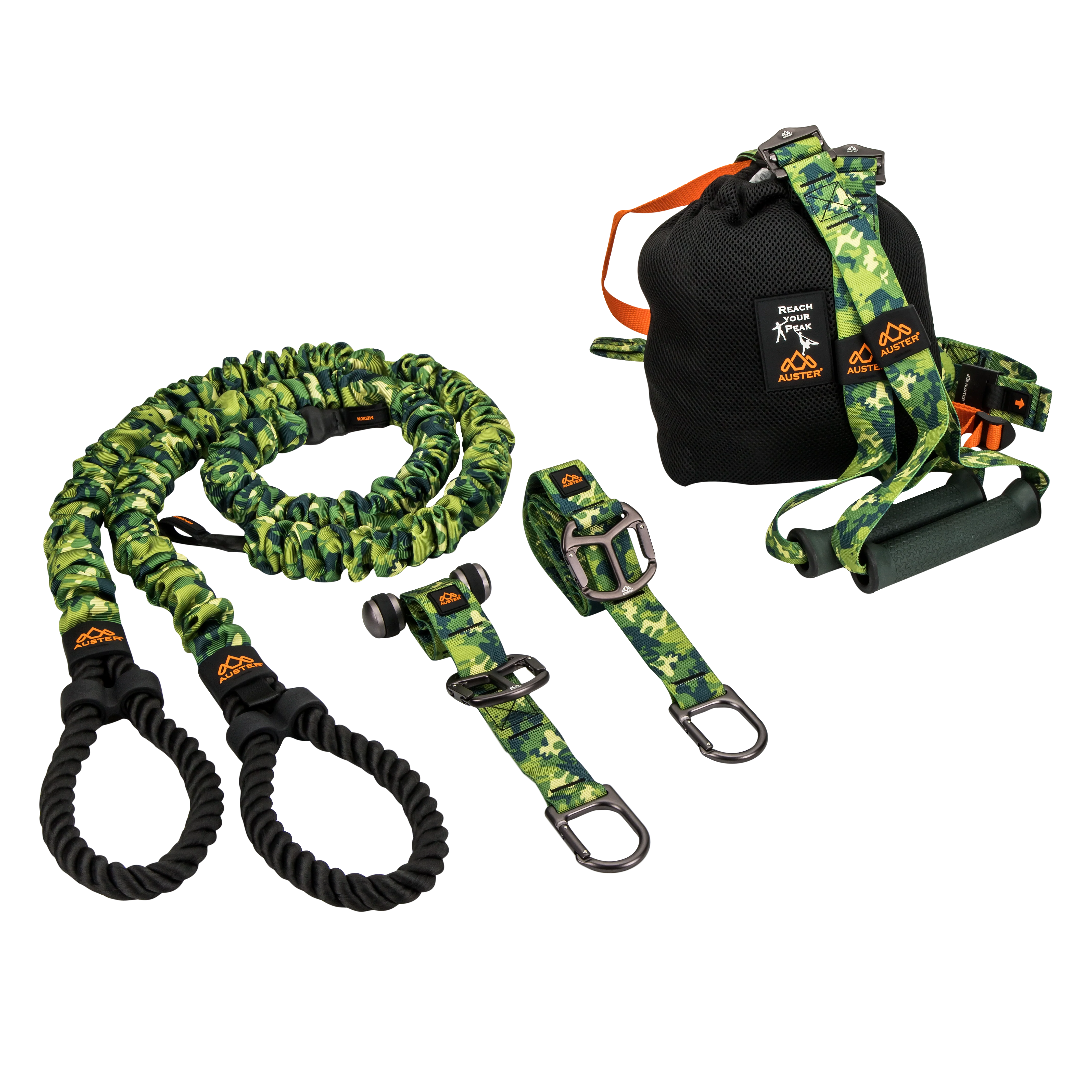 THE AUSTER TUTOR - Image 3