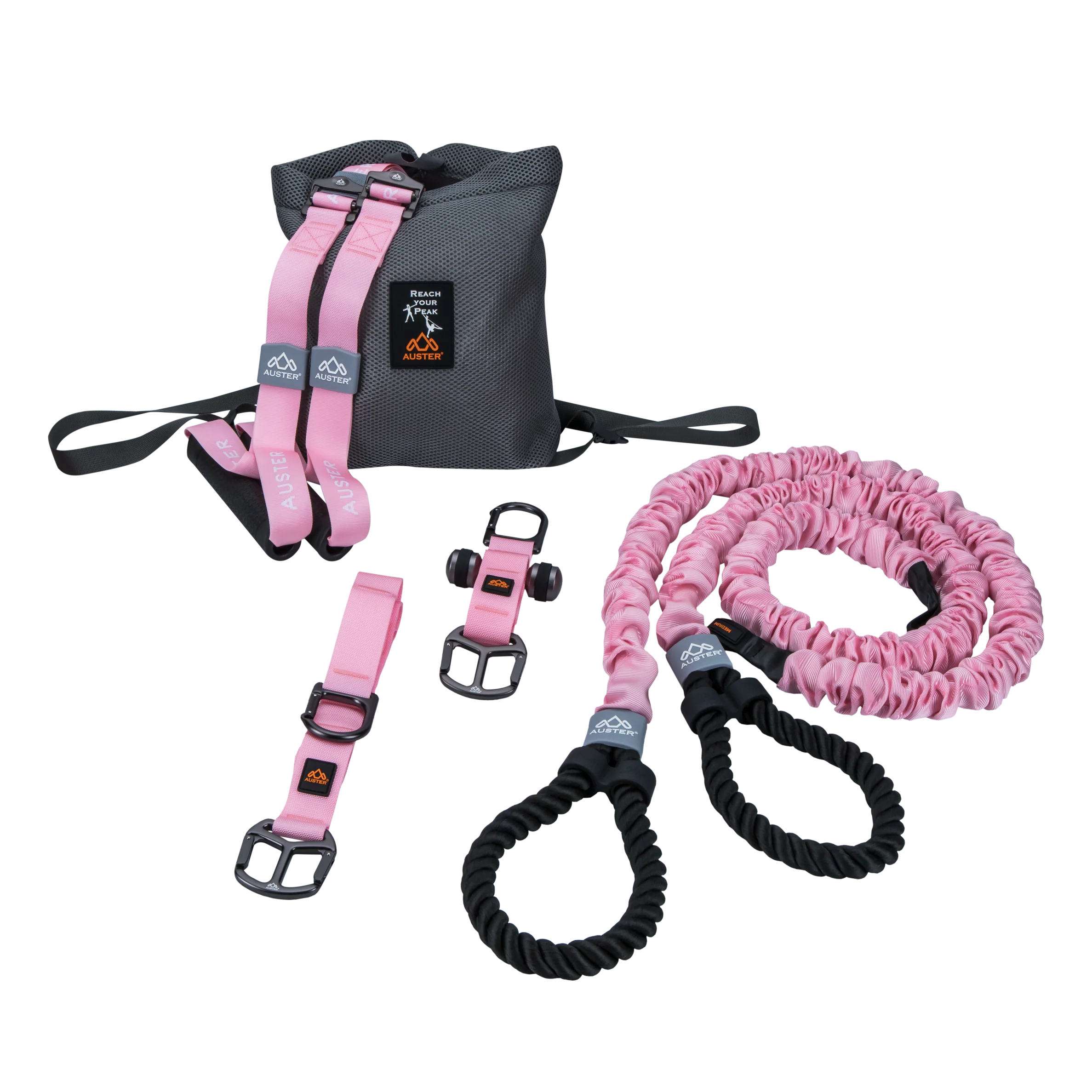 THE AUSTER TUTOR - Image 4