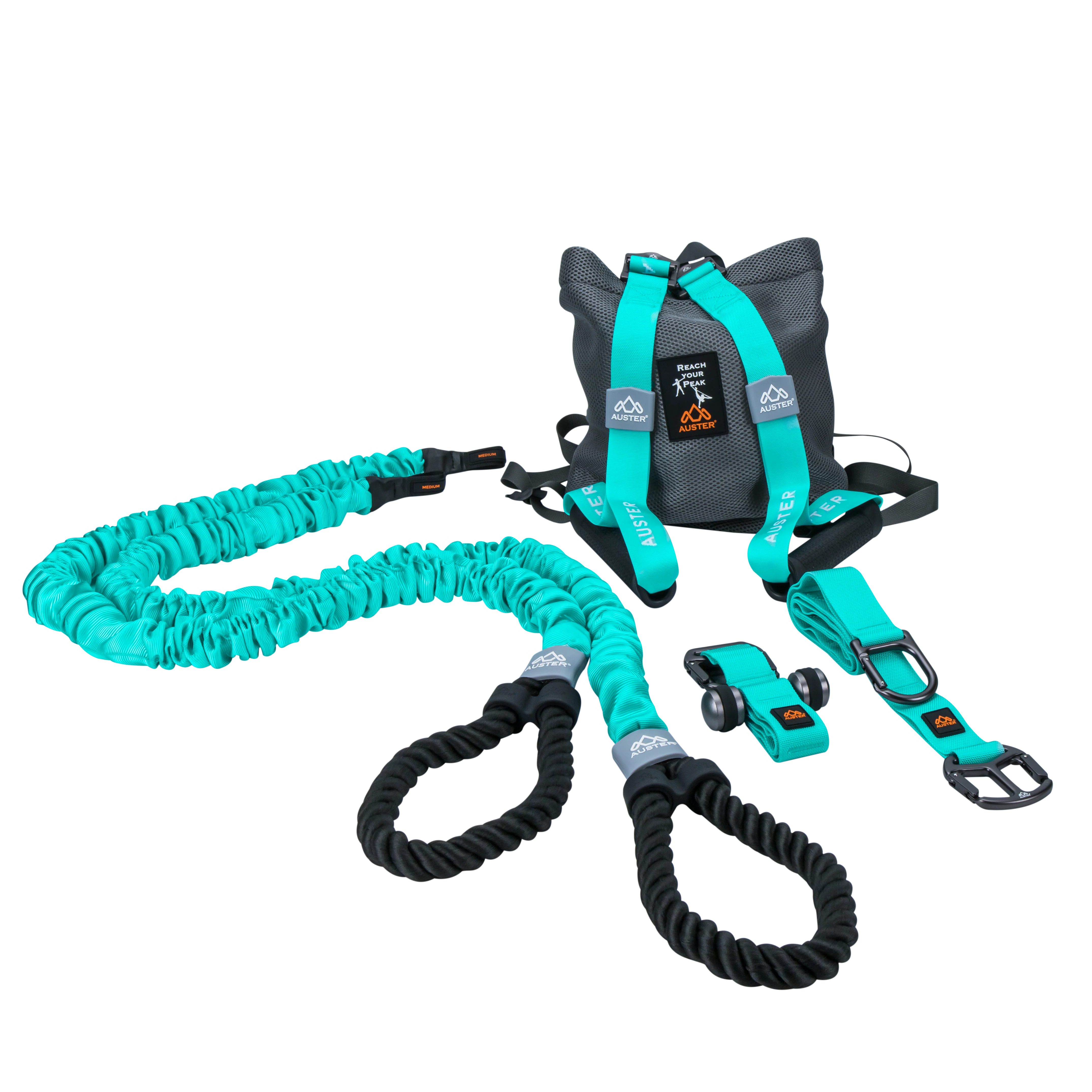 THE AUSTER TUTOR - Image 5