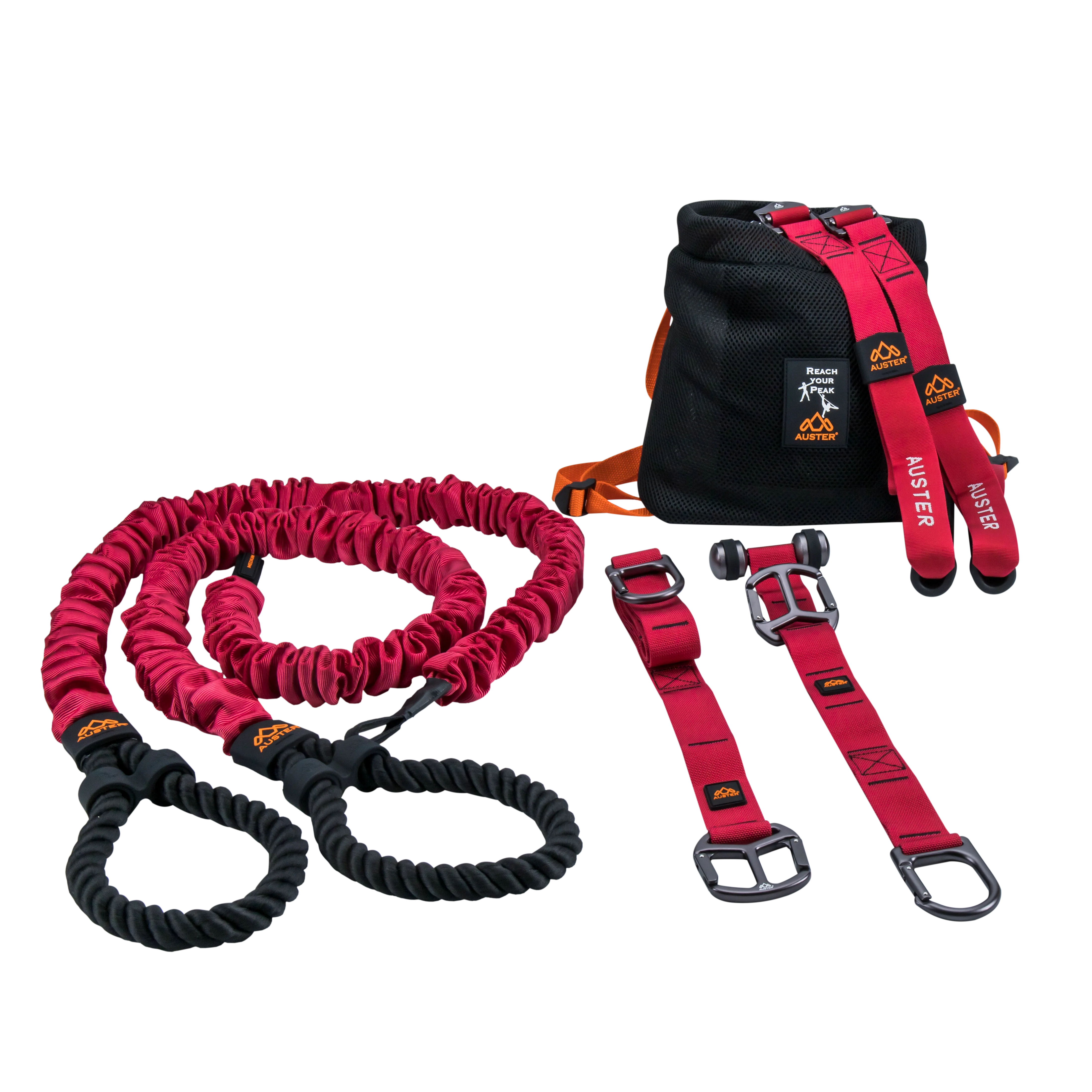 THE AUSTER TUTOR - Image 6