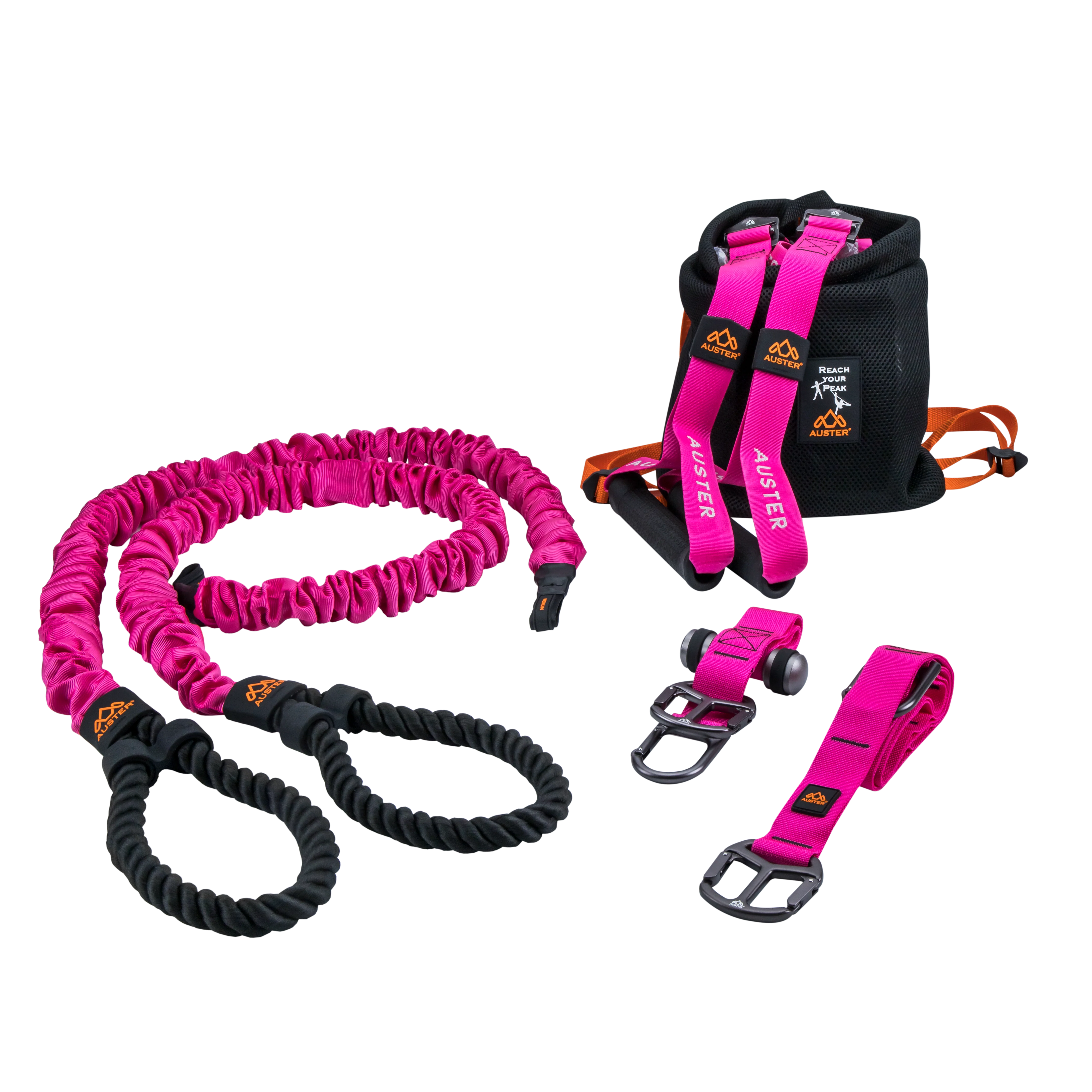 THE AUSTER TUTOR - Image 7